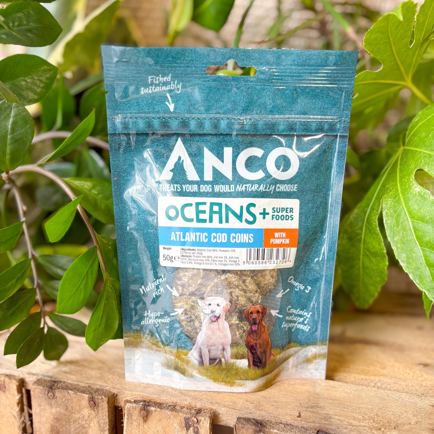 Anco Oceans+ Atlantic Cod Coins with Pumpkin