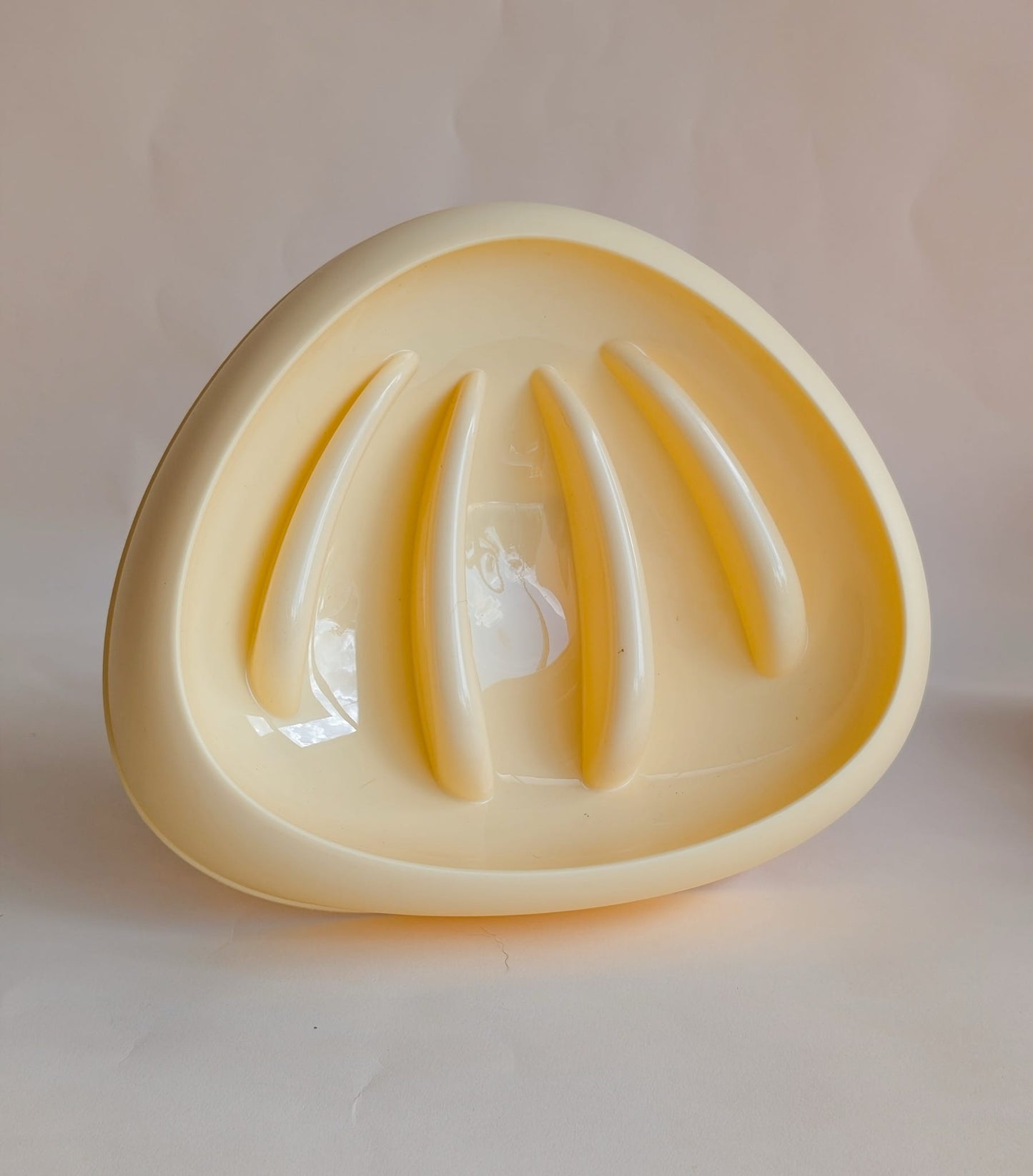 Seashell Slow Feeder