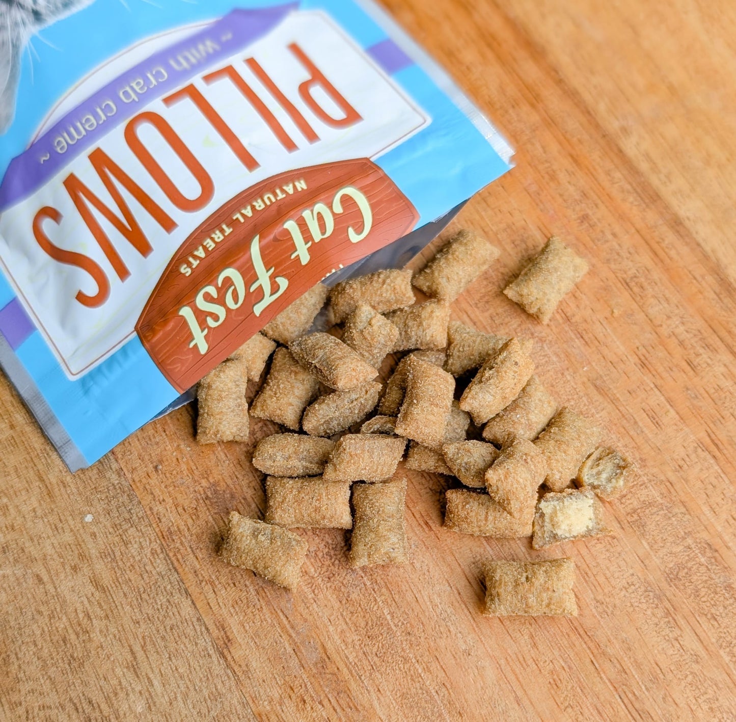 🐈⬛ Cat Fest Pillows | Crab Creme