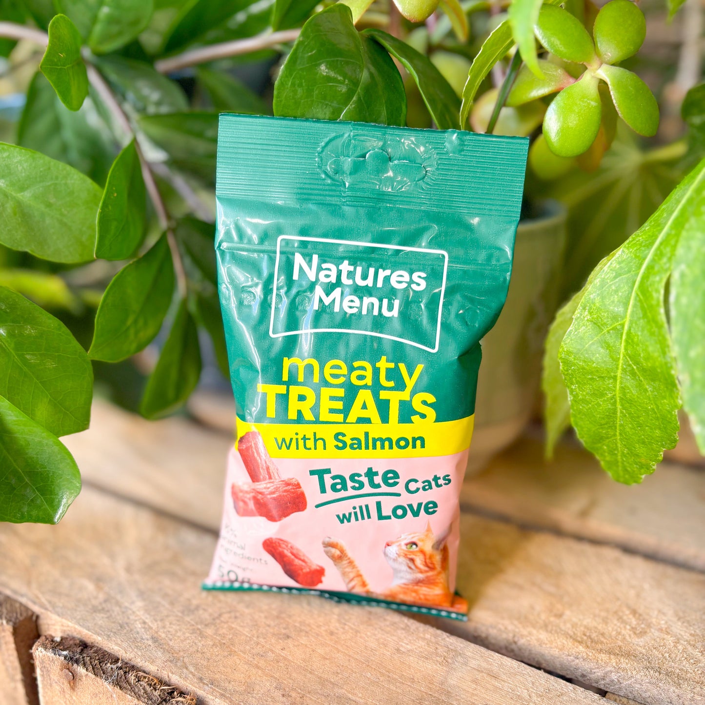 ๐ Natures Menu Cat Meaty Treats | Salmon ๐