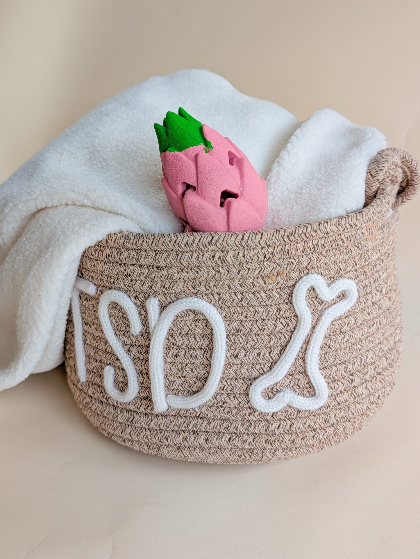 Dragonfruit Enrichment Toy