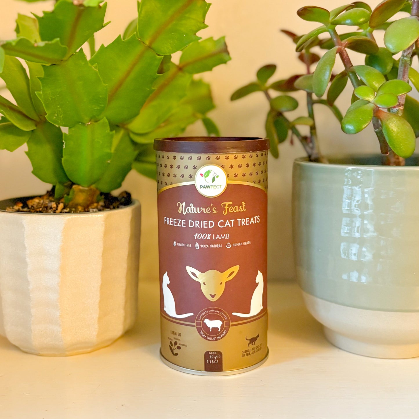 ๐ Pawfect Nature's Feast Freeze-Dried Cat Treats | 100% Lamb ๐