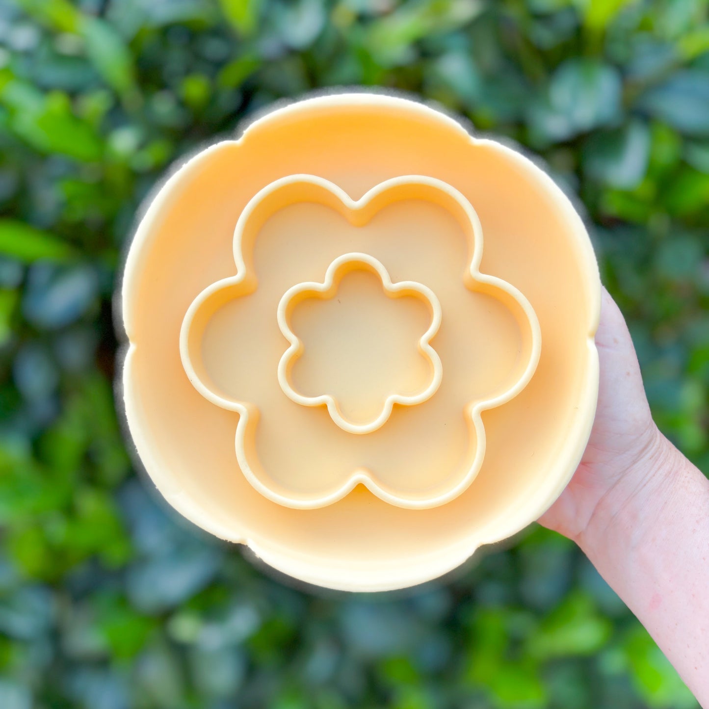 "Petalis" Enrichment Bowl | Primrose