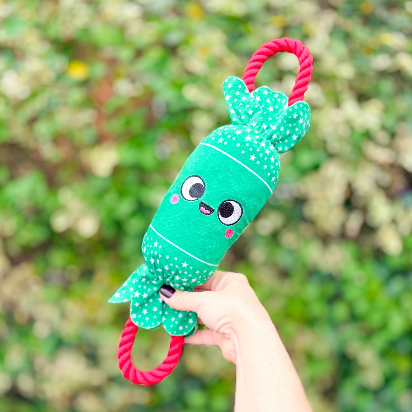 Colin & Chloe Crackers | Christmas Plush & Rope Dog Toy