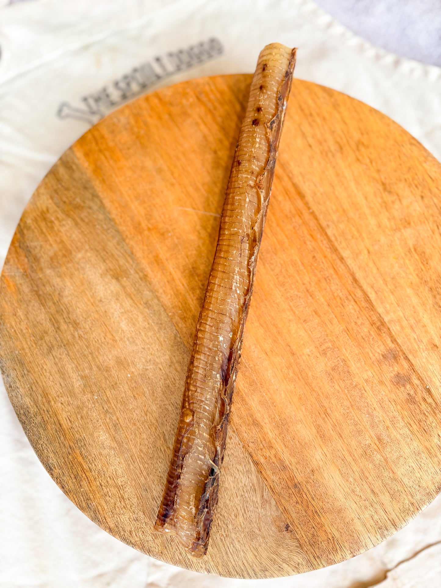 Ostrich Trachea *NEW LARGER SIZE