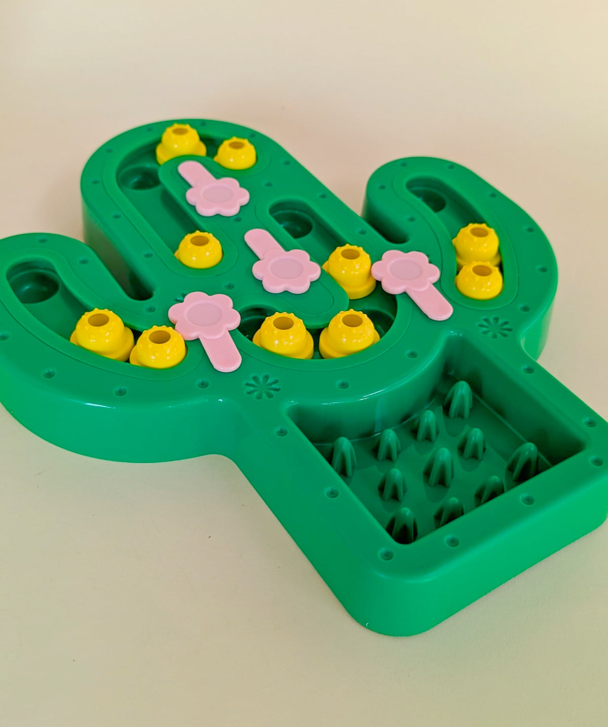 Cactus Puzzle Feeder