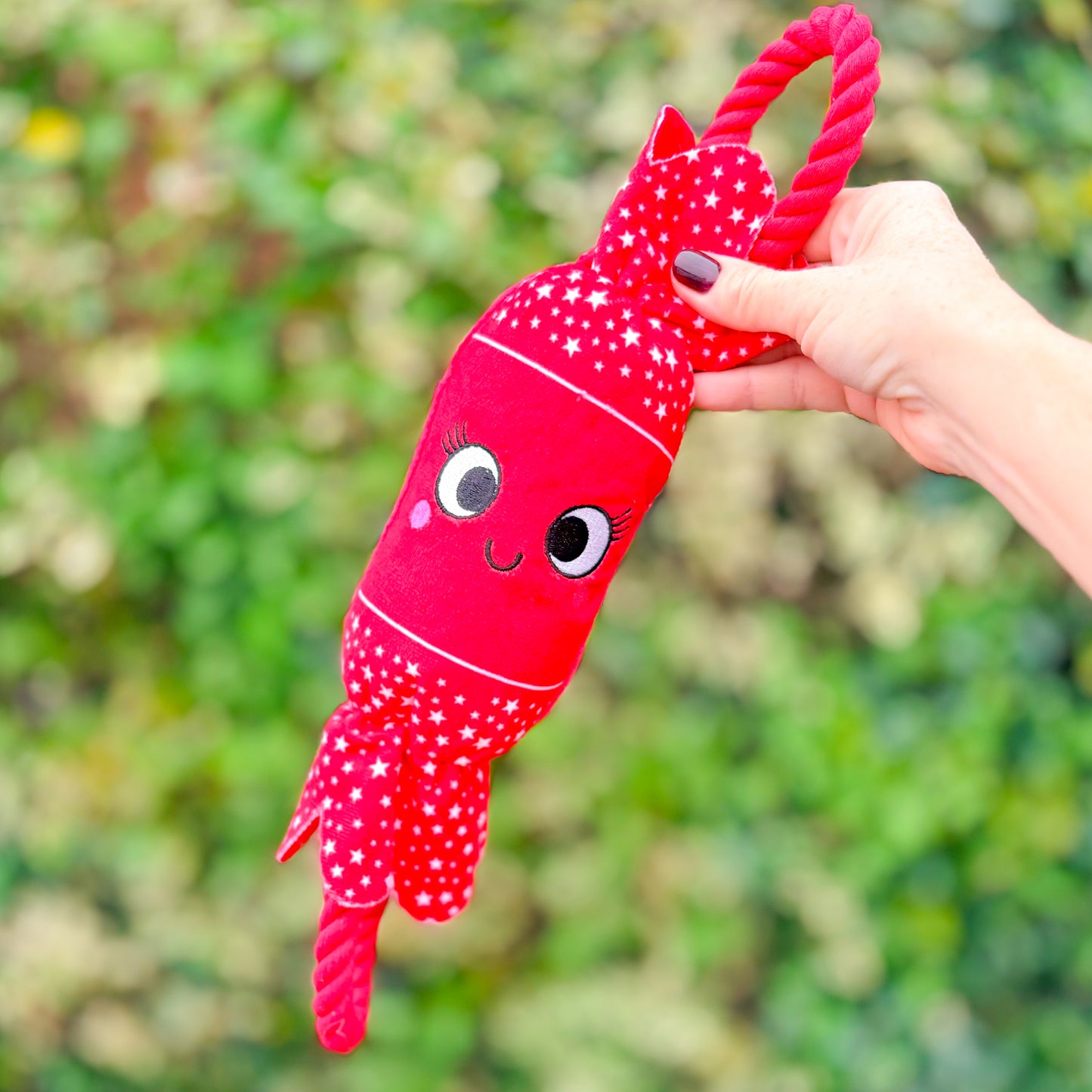 Colin & Chloe Crackers | Christmas Plush & Rope Dog Toy