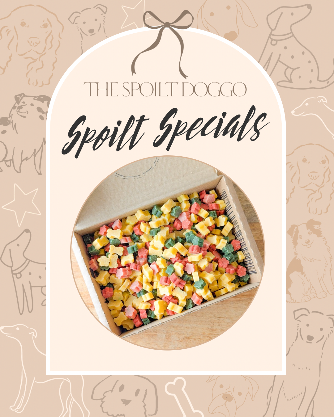 ✨ SPOILT SPECIALS ✨