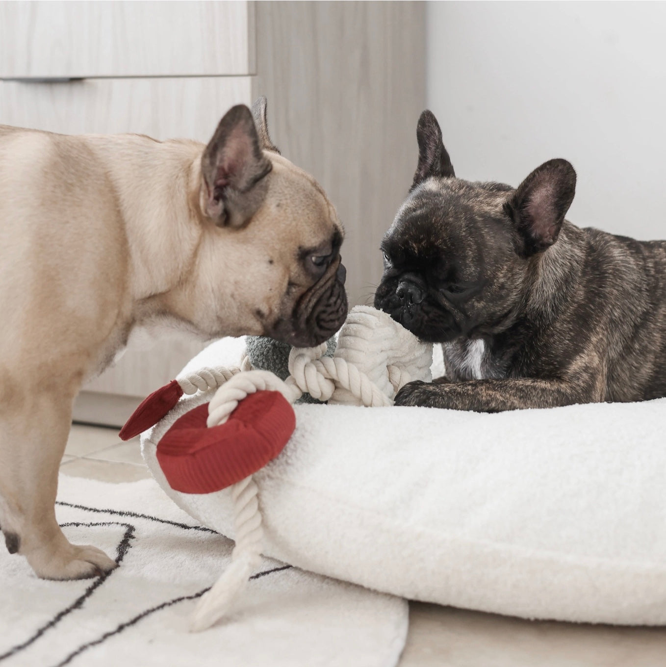 Lambwolf | Christmas Blocs | Interactive Enrichment Dog Toy