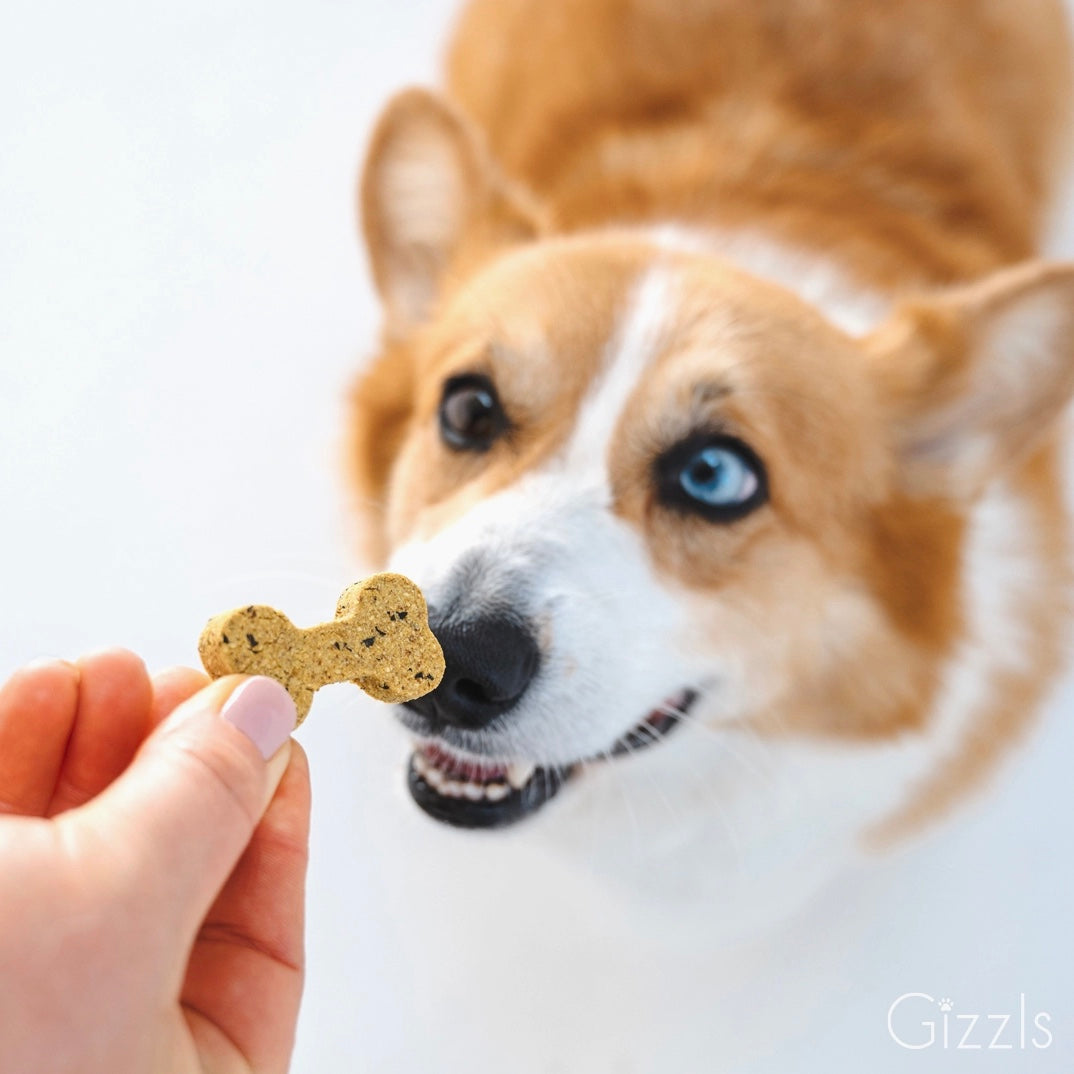 Gizzls Minty Fresh Dog Treats | Peanut Butter & Mint *NEW BIGGER SIZE