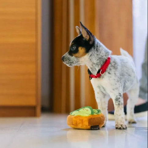 P.L.A.Y | Barking Brunch Avo-Doggo Toast Toy