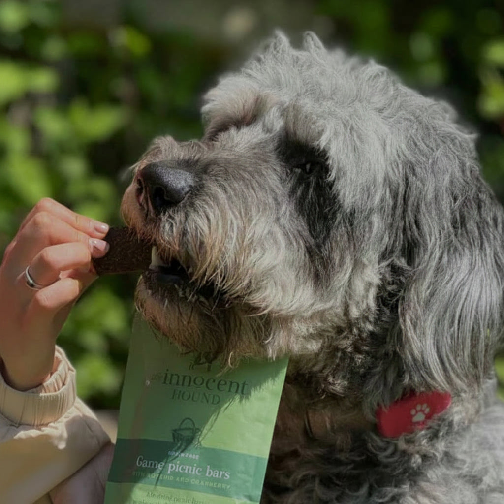 The Innocent Hound | Game Picnic Bars with Rosehip & Cranberry