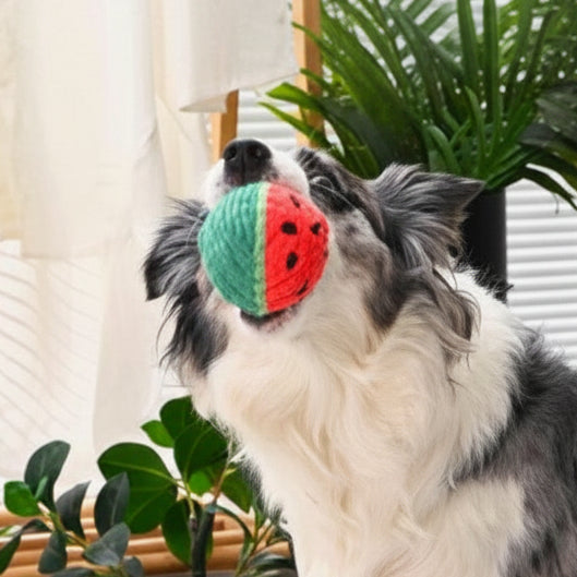 Hugsmart Summer Fruit Ball Toys