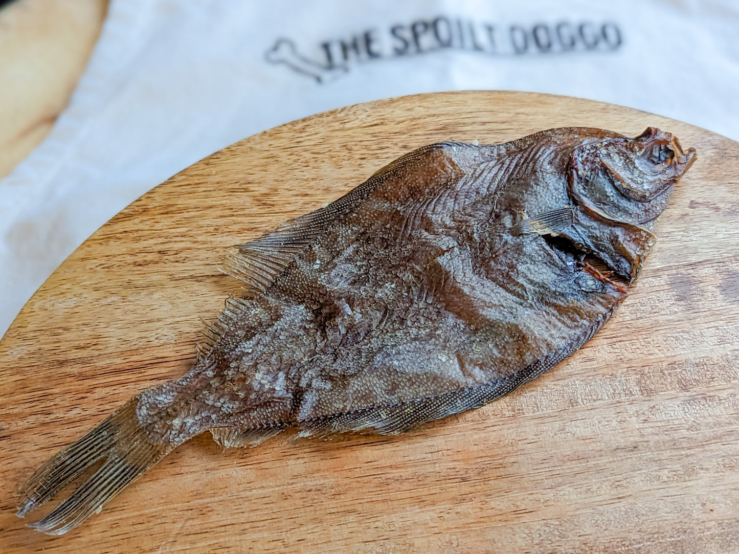 Flounder Fish | 2 Sizes