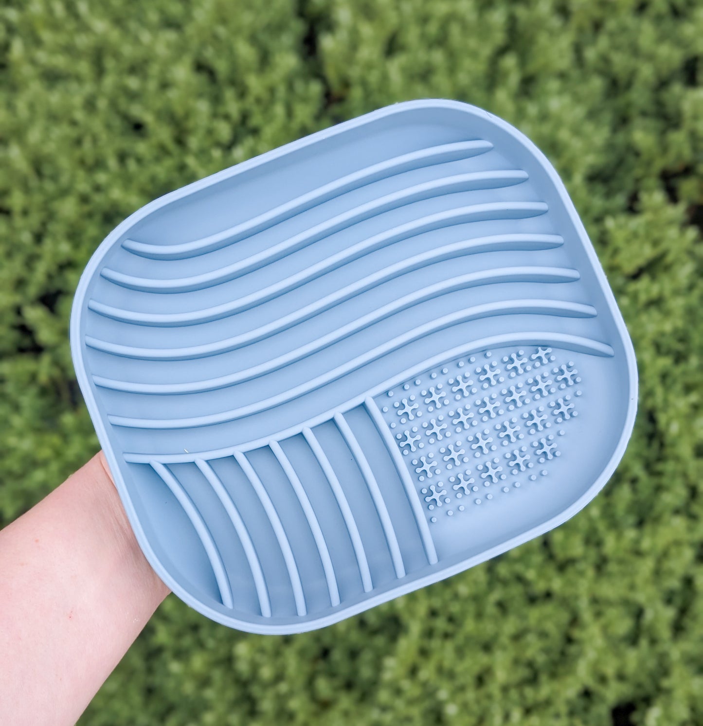 Wavey Enrichment Bowl | Delphinium