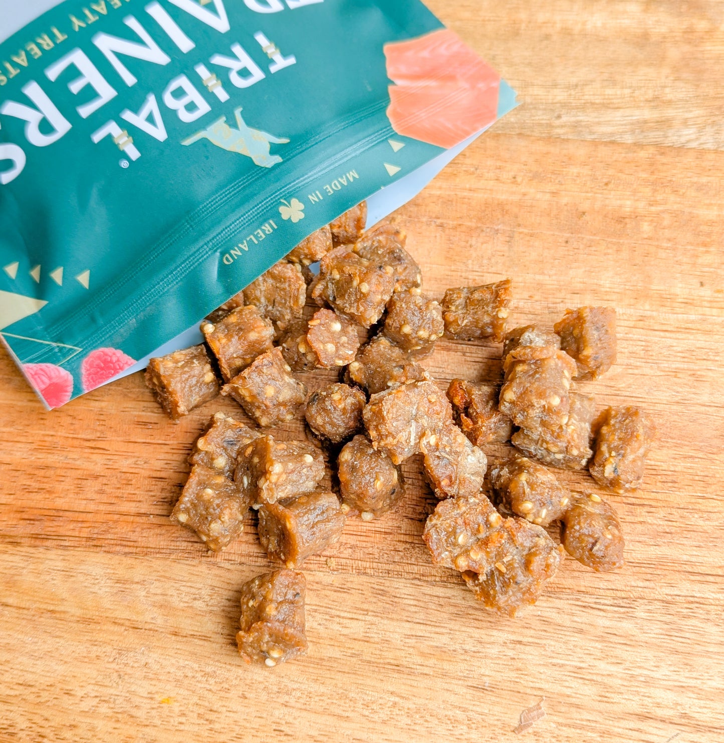 Tribal Trainers | Trout & Raspberry