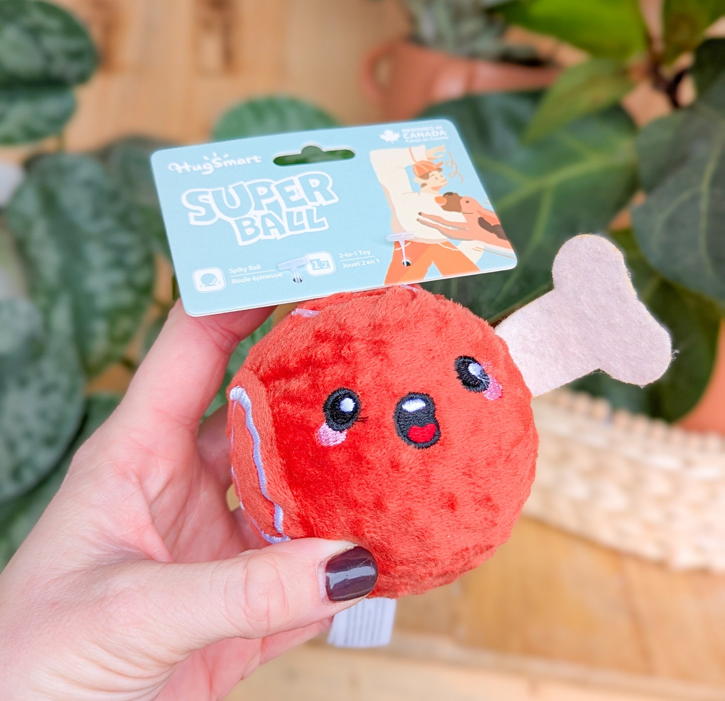Hugsmart Food Party Ball Toys
