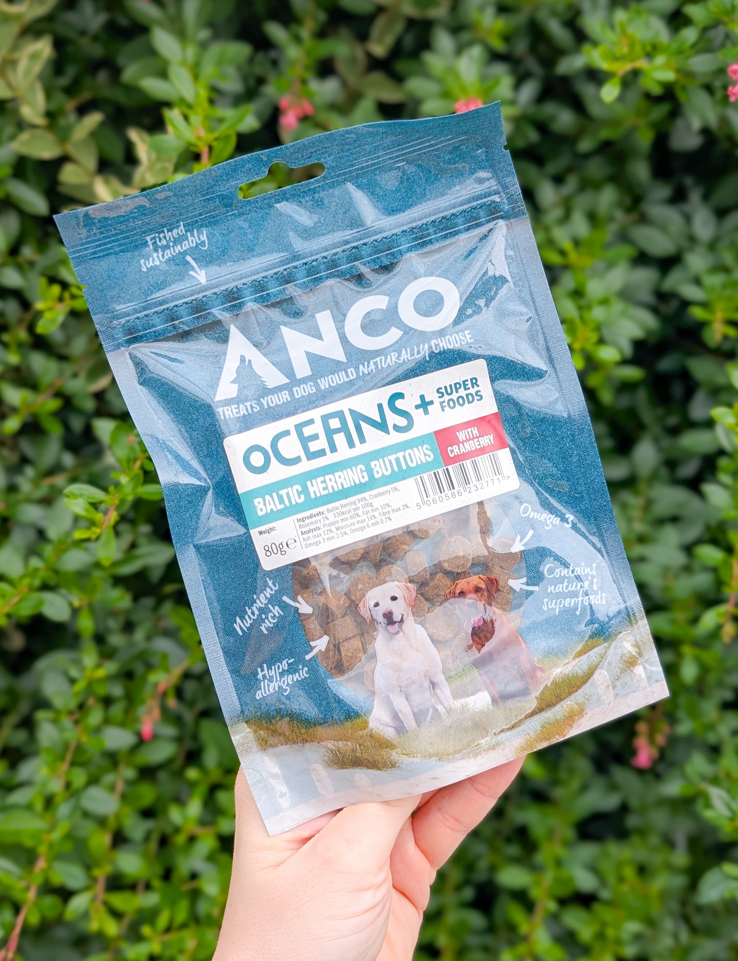 Anco Oceans+ Baltic Herring Buttons with Cranberry
