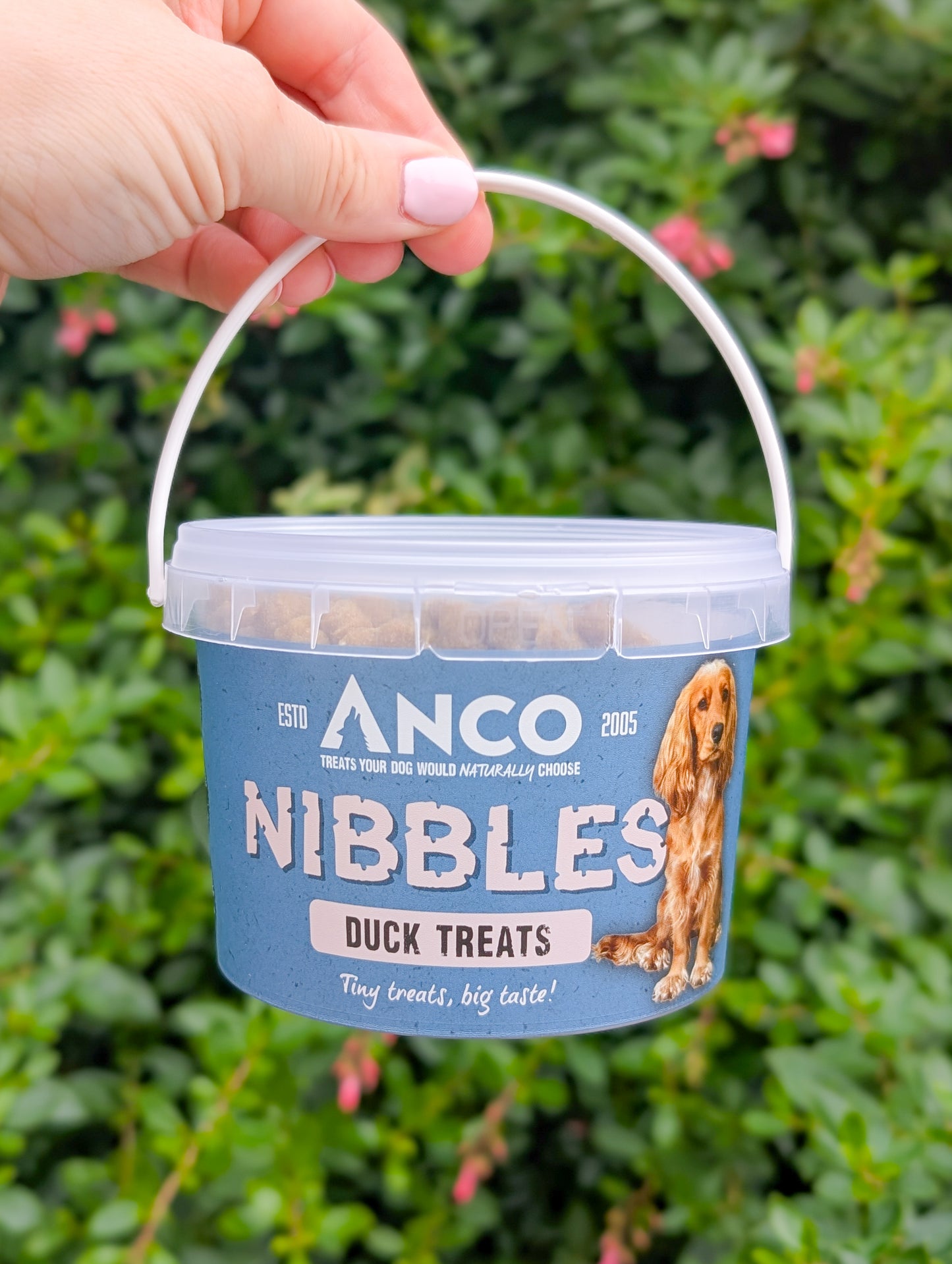 Anco Nibbles