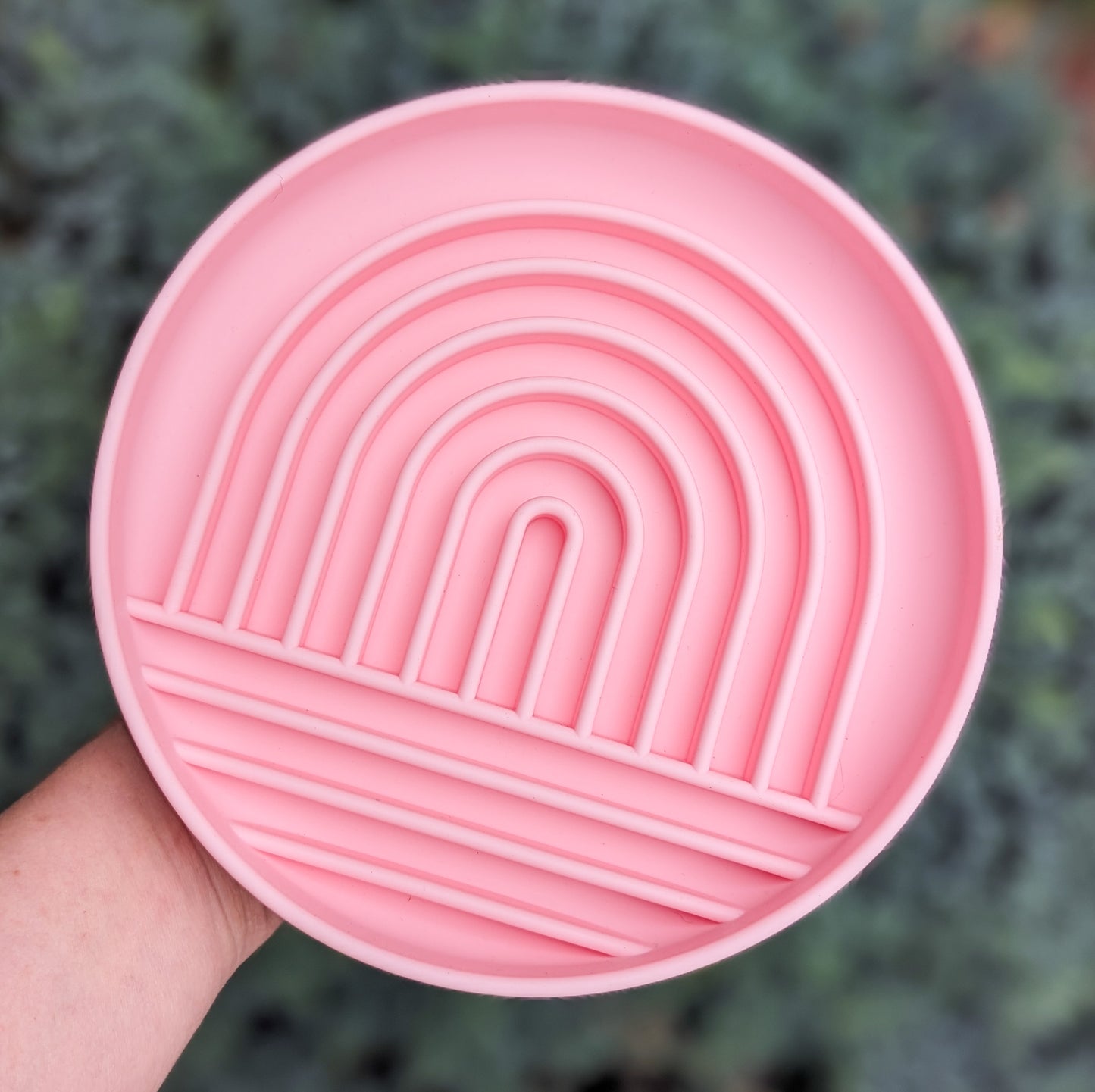 Rainbow Enrichment Bowl | Foxglove