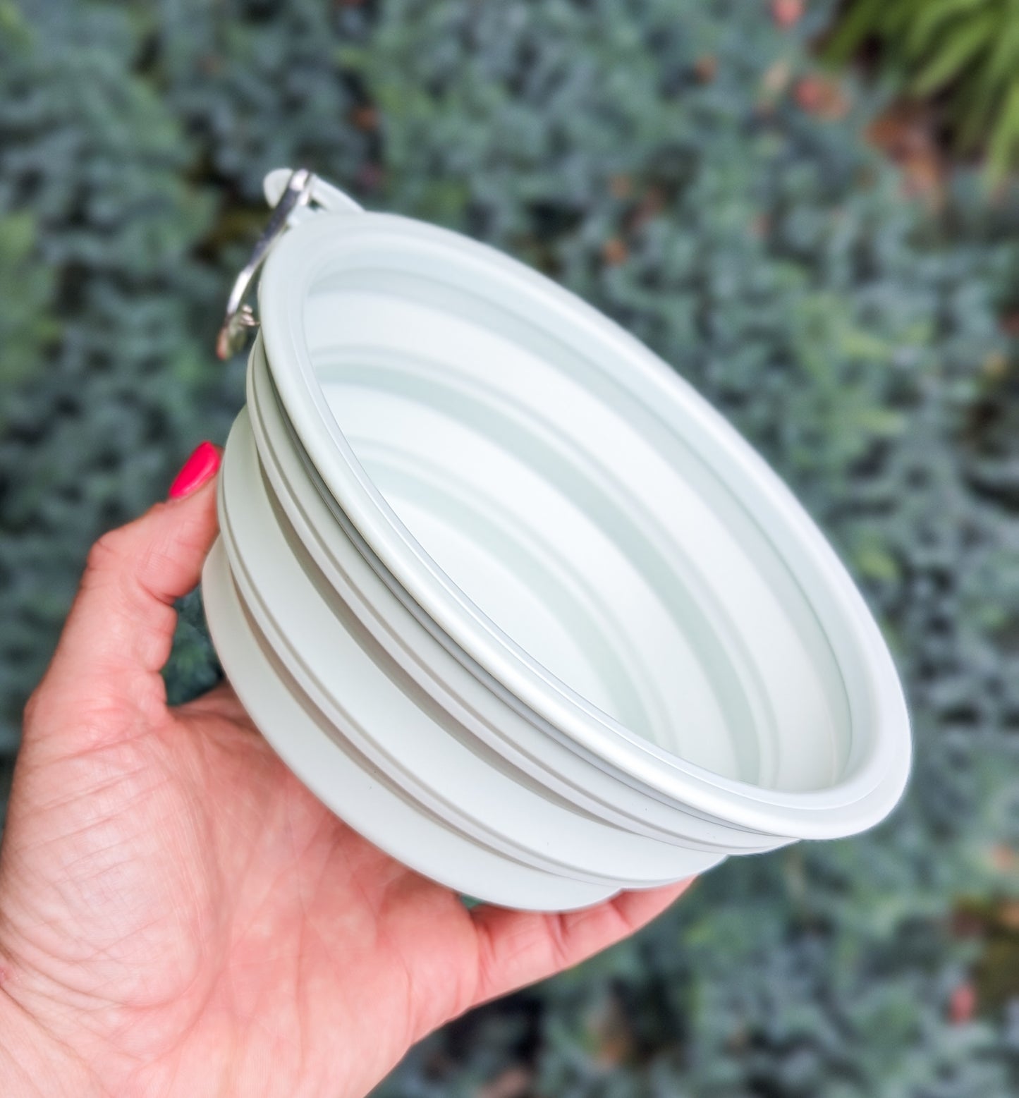 Collapsible Water Bowl | 2 Sizes