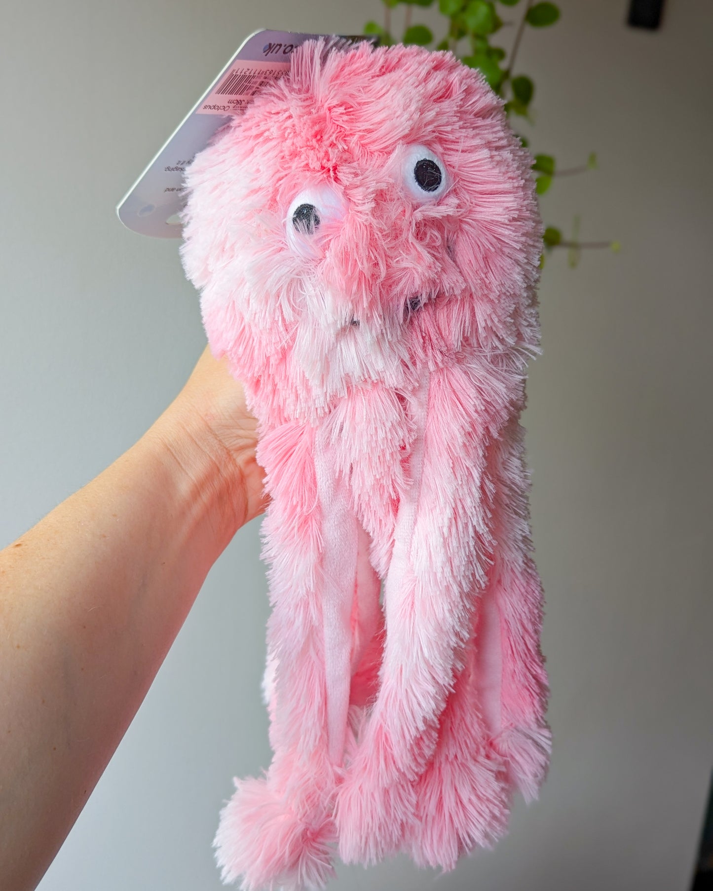 Soft & Cuddly Reef Octopus Toy | 3 Colours & Sizes