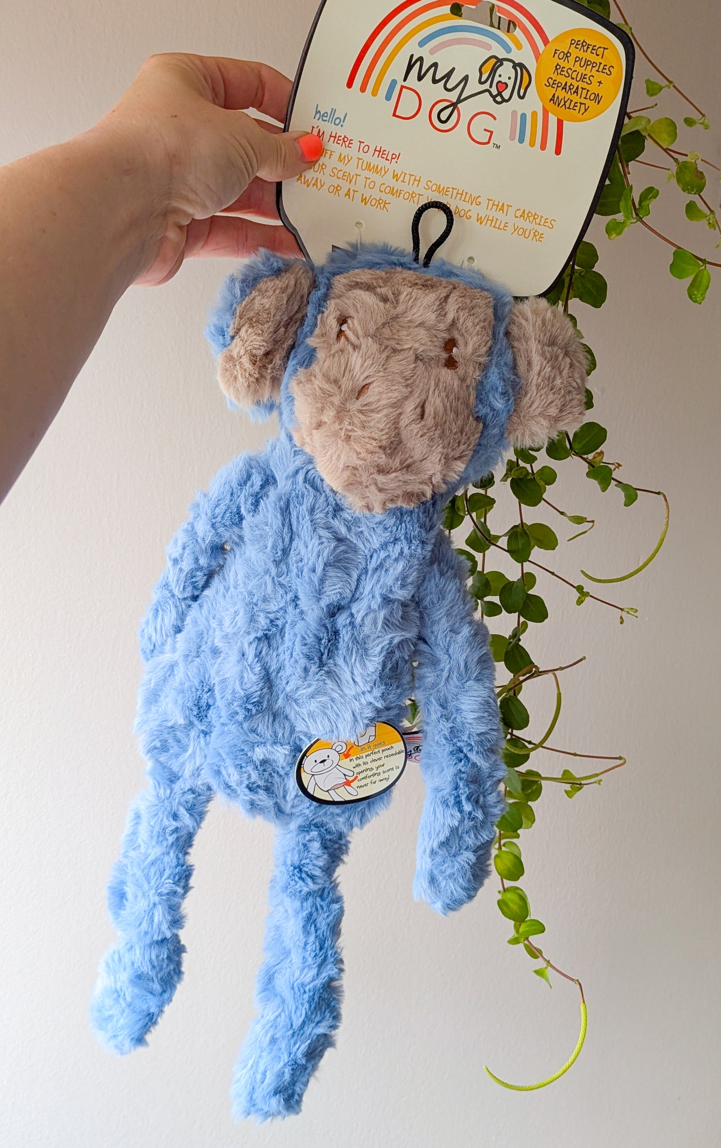 Comforting Soft & Snuggly Friends