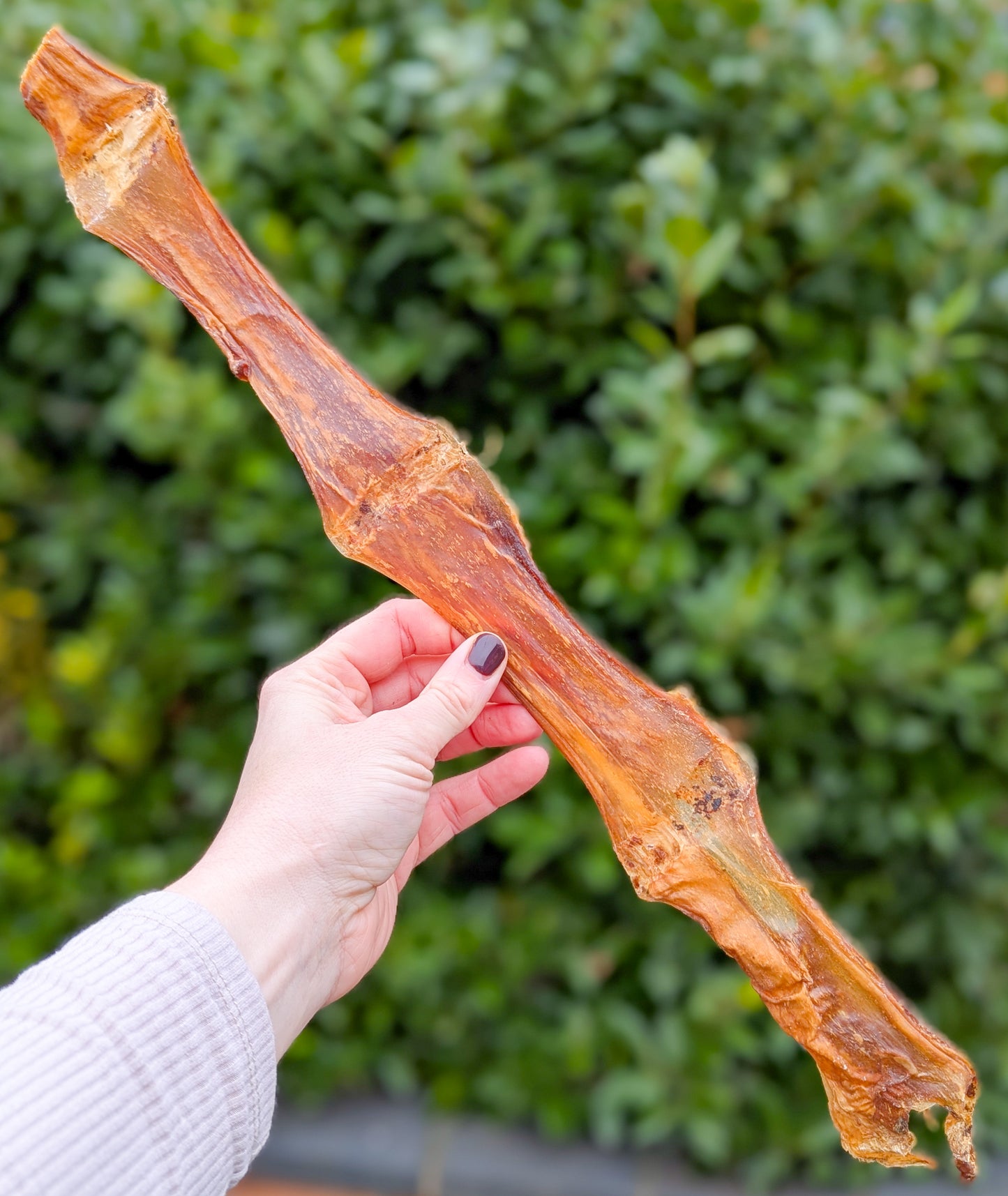 Buffalo Biltong Chew | JUMBO