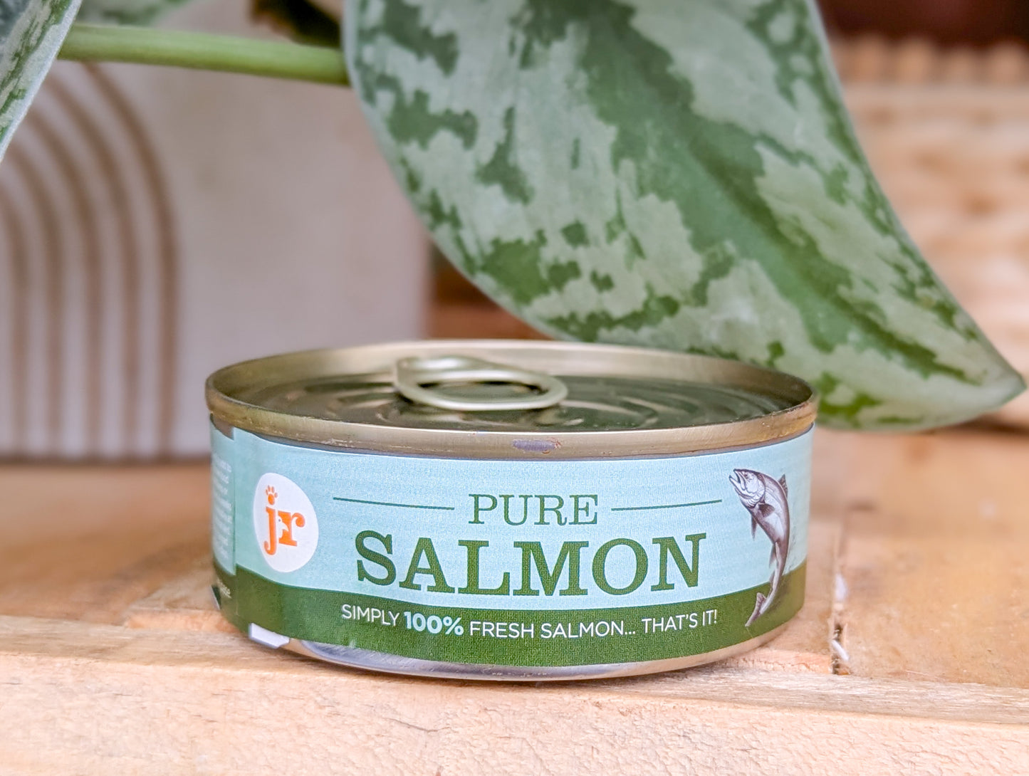 JR Pet Products Magic Meal Topper | Pure Salmon