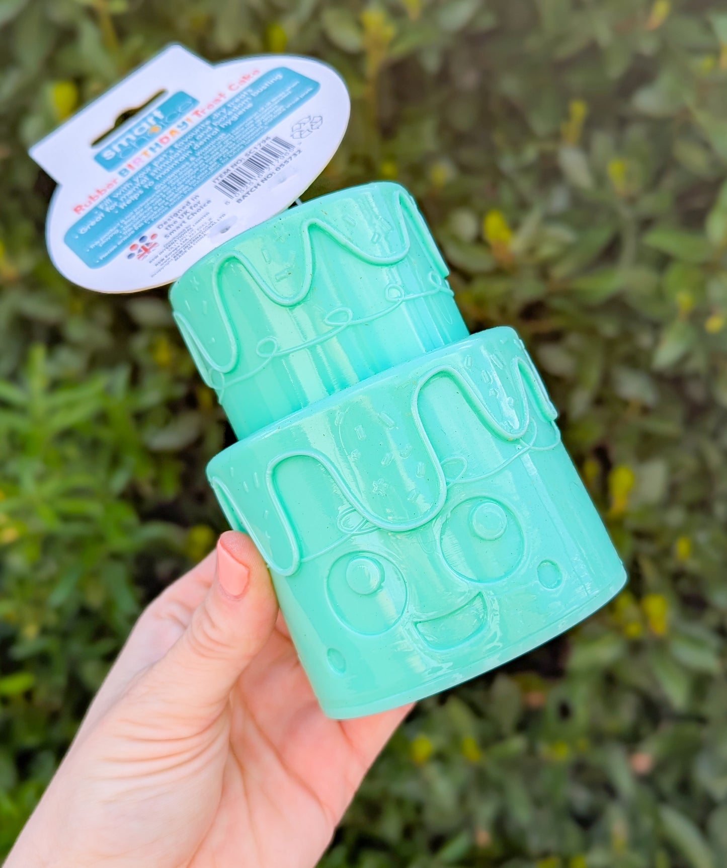 Birthday Cake Treat Dispenser