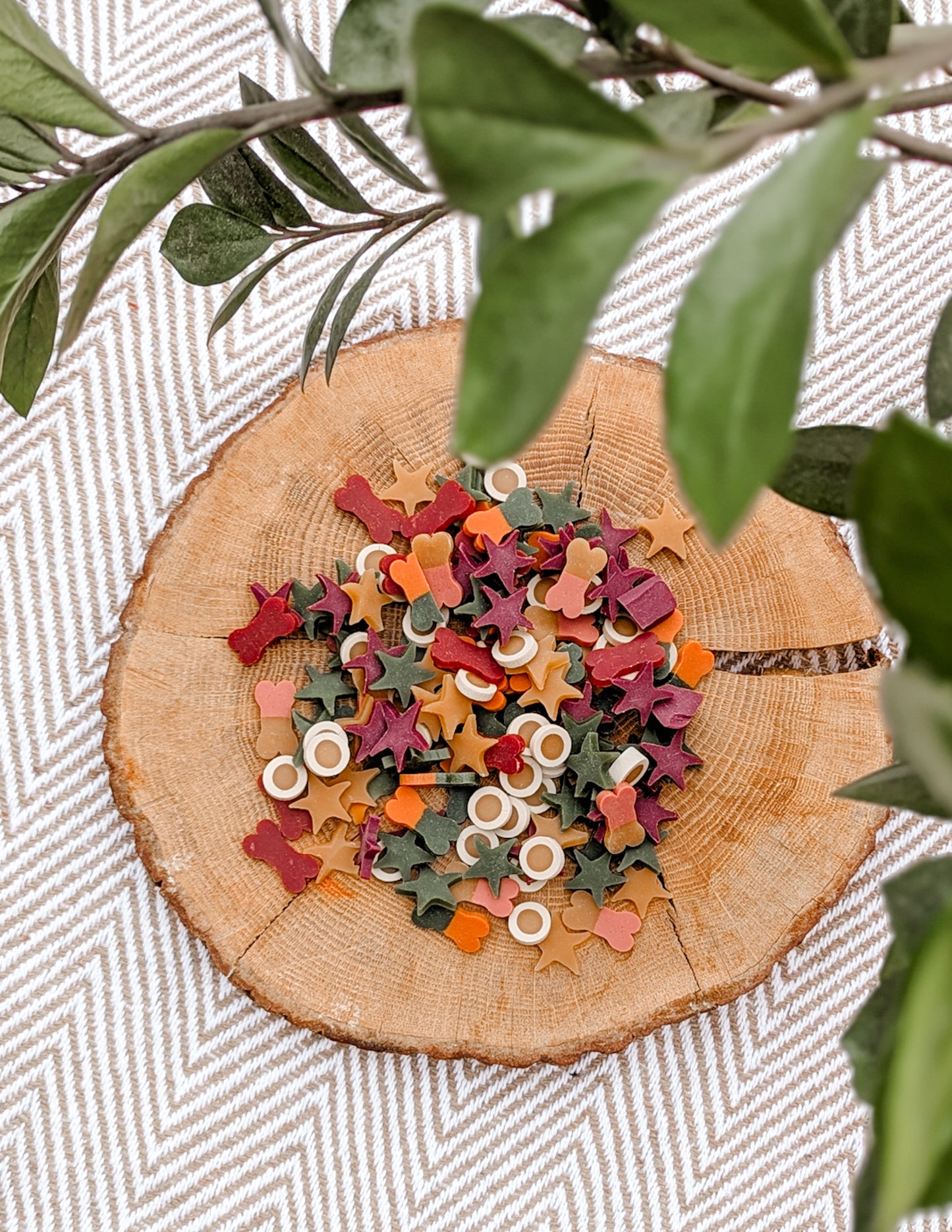 Veggie Treats Training Treats Treat Box | Grain-Free | Worth £27