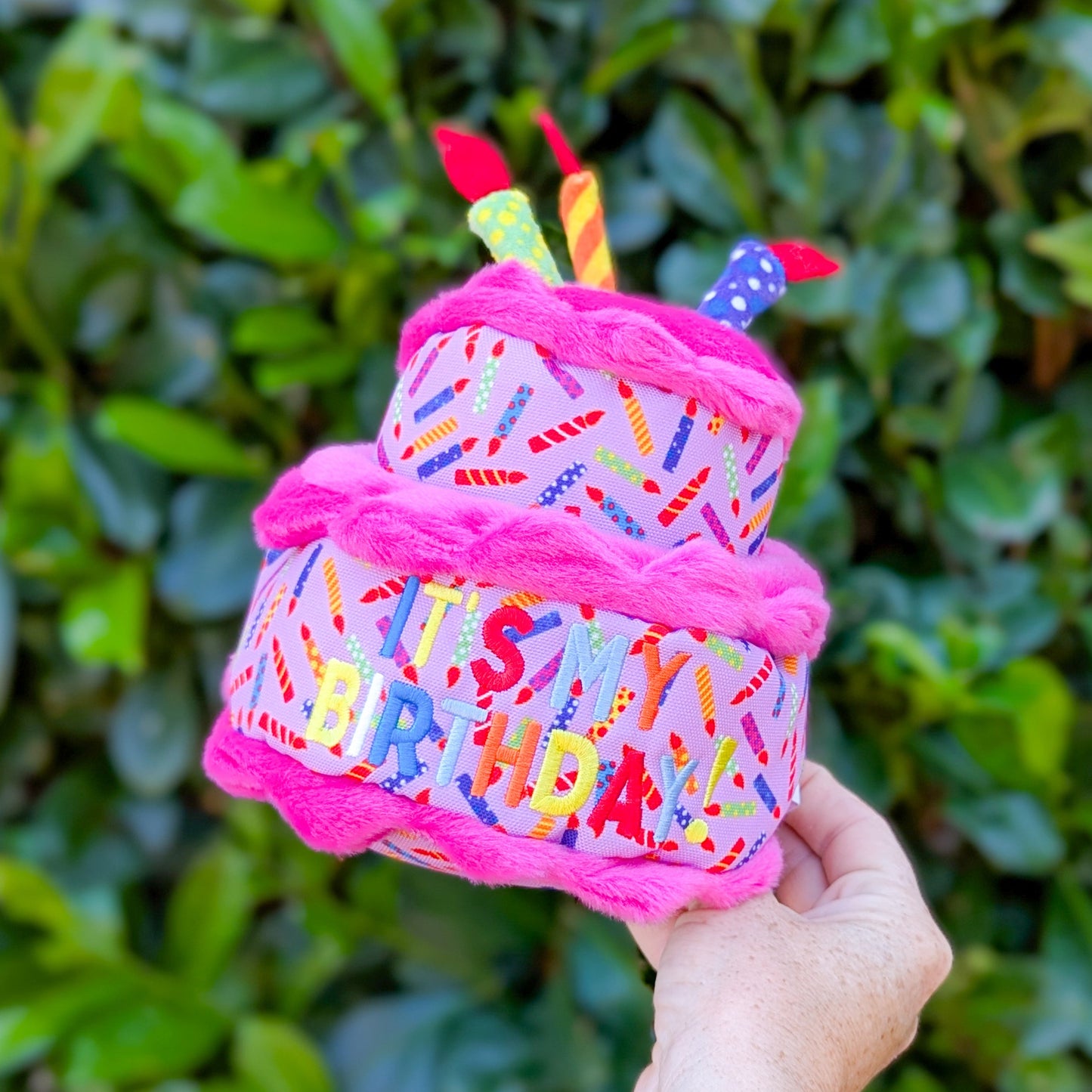 The Worthy Dog Plush Toy | Birthday Cake