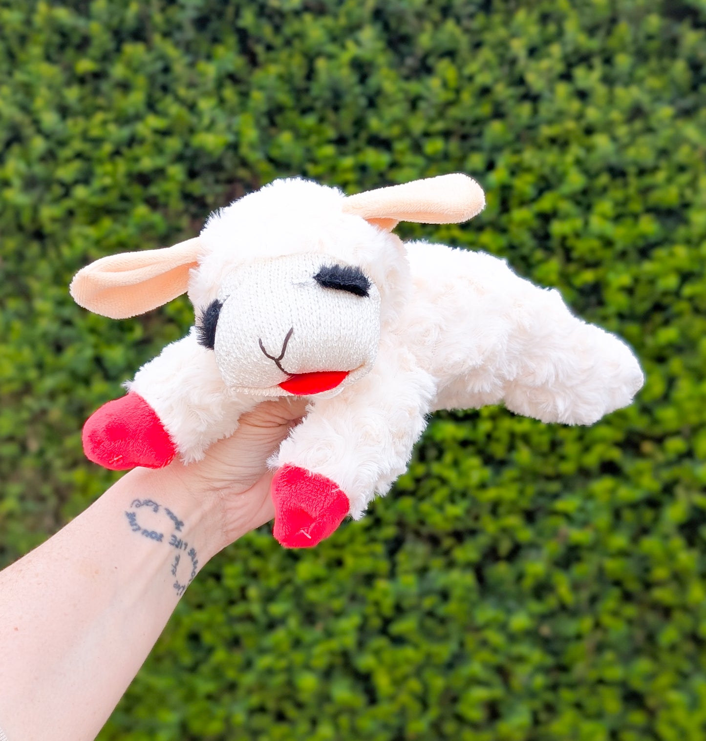 Lamb Chop | The Viral Ultra Plush Dog Toy