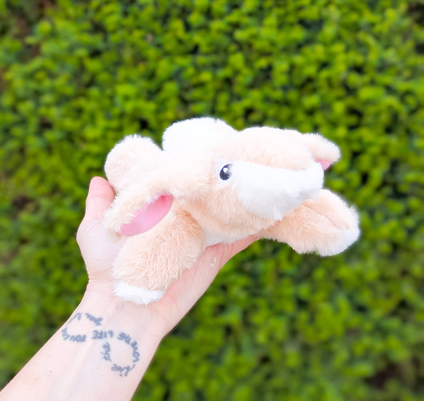 Little Doggo | Beige Fluffy Plush Rabbit