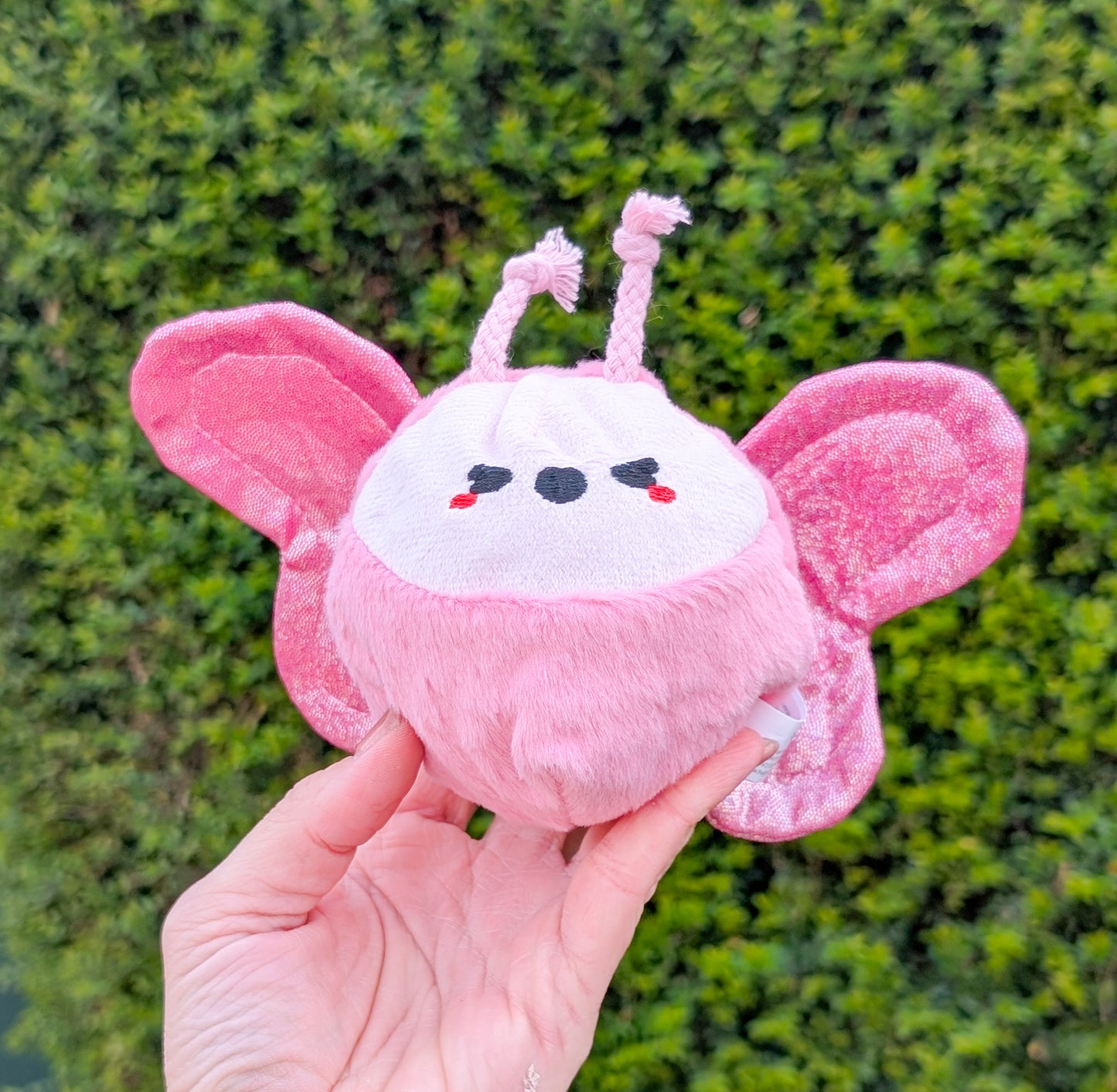 Hugsmart Puppy Garden | Butterfly Ball Toy