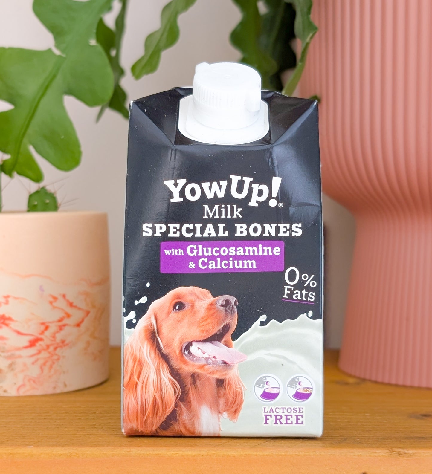 Yowup! Special Bones Milk