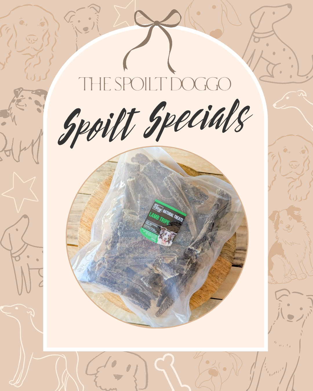 🐾✨ SPOILT SPECIALS ✨🐾