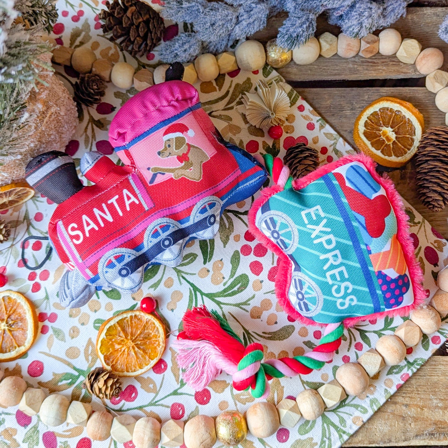 House of Paws | Merry & Bright Santa Paws Express Dog Toy