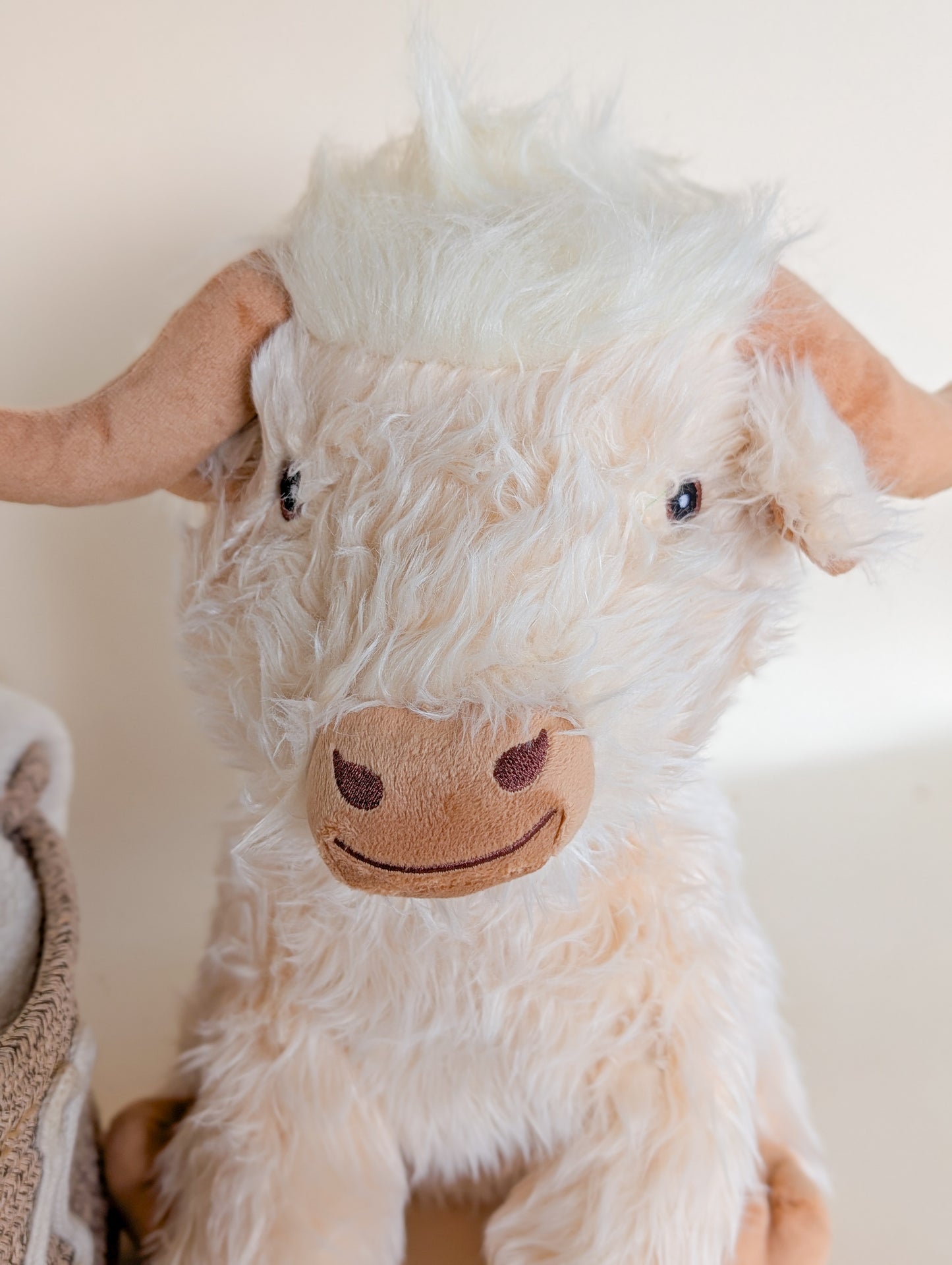 Jumbo Highland Cow