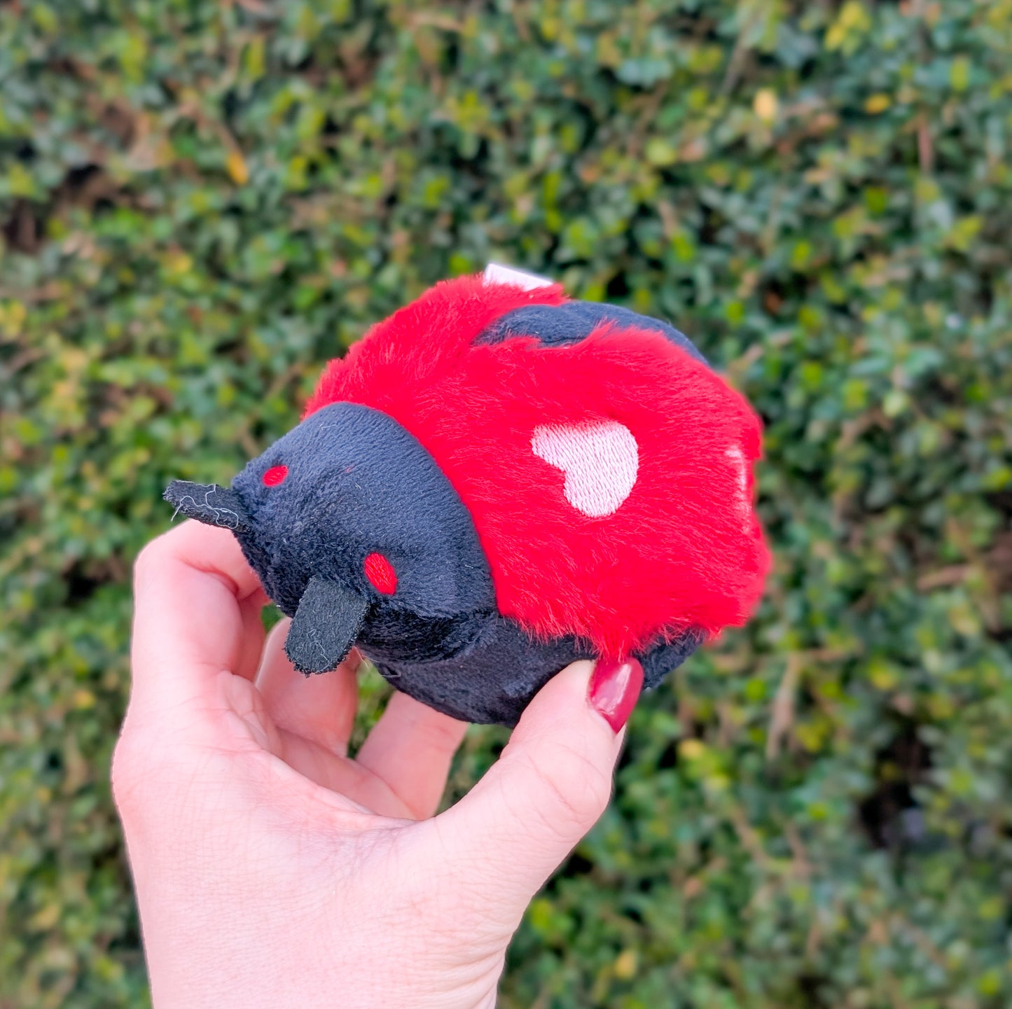 Hugsmart Ball Toy | Ladybird
