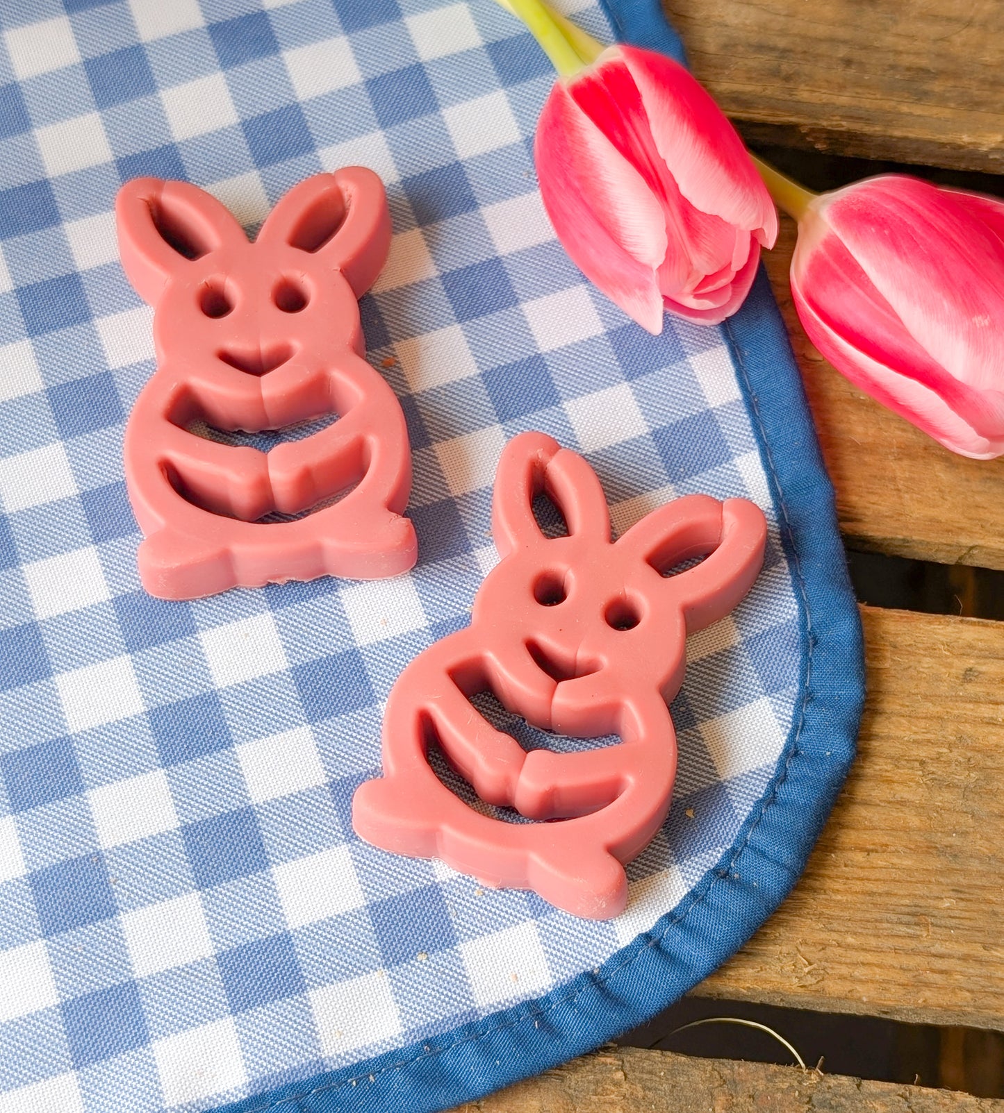 Chicken & Cranberry Treats | Easter Egg or Easter Bunny