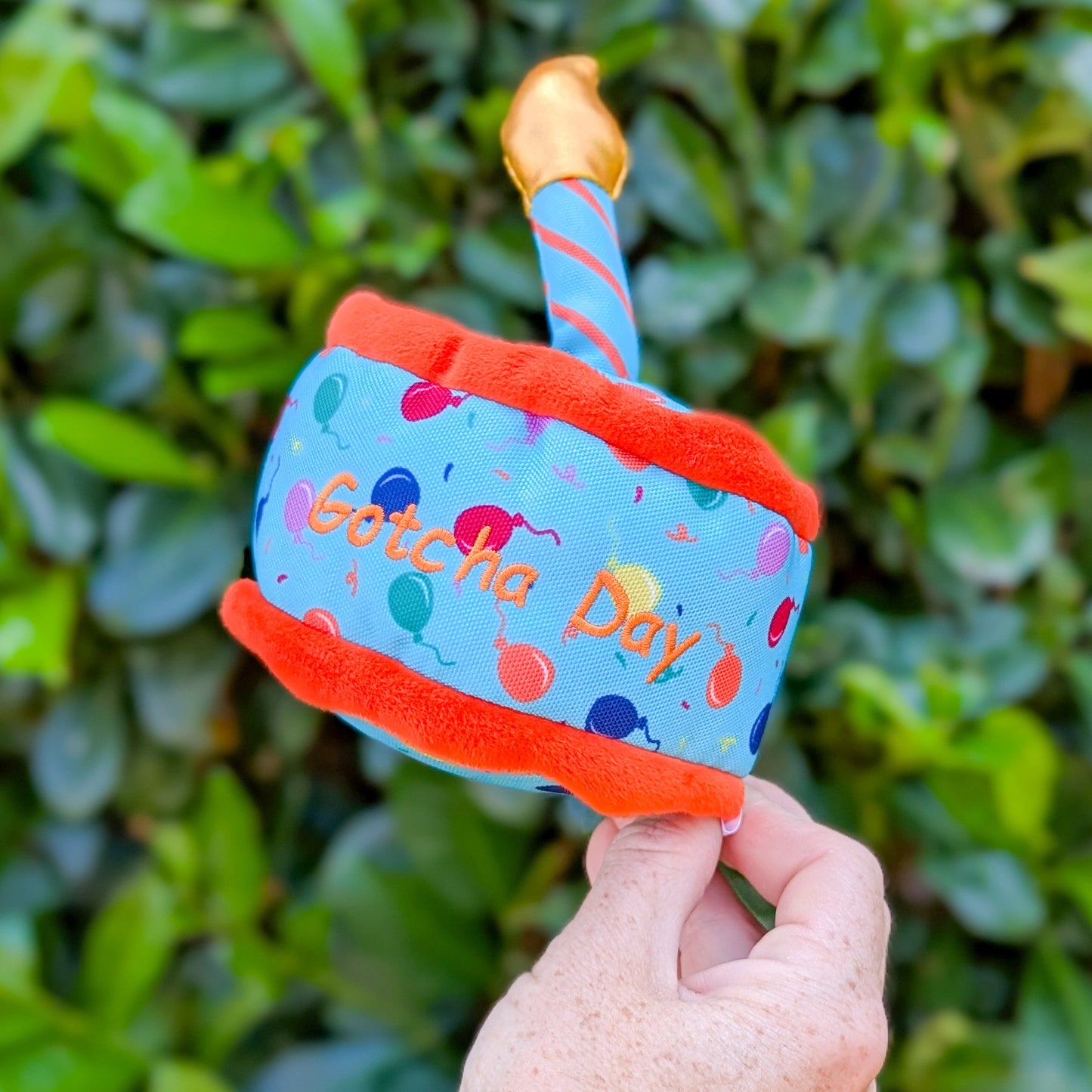 The Worthy Dog | Gotcha Day Cake