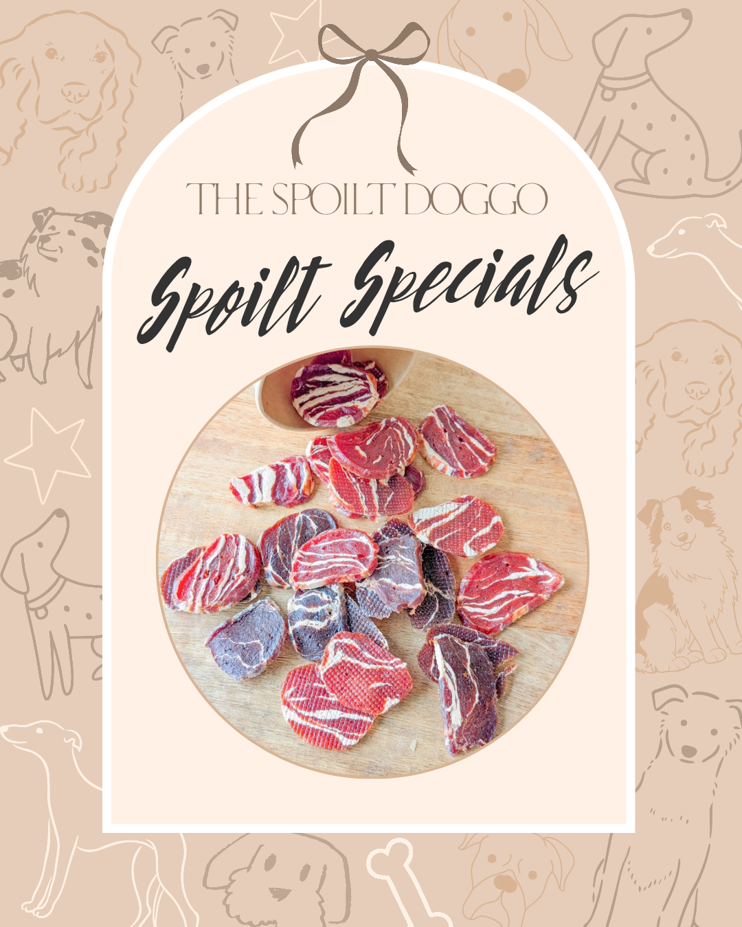 🐾✨ SPOILT SPECIALS ✨🐾