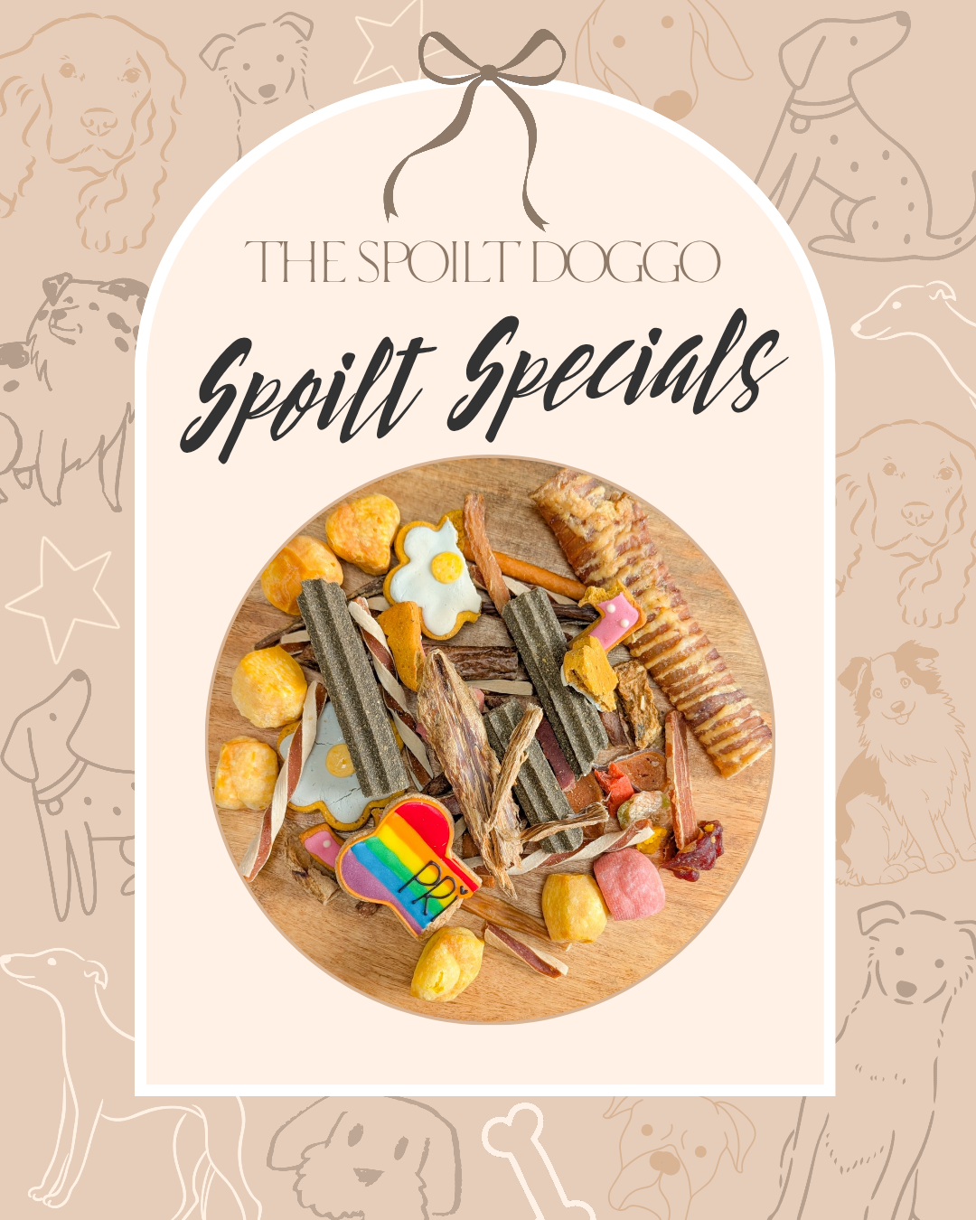 ✨ SPOILT SPECIALS ✨
