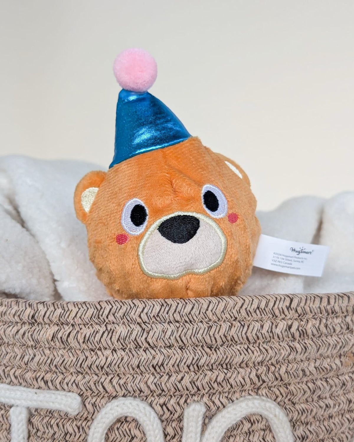 Hugsmart Birthday Ball Toys