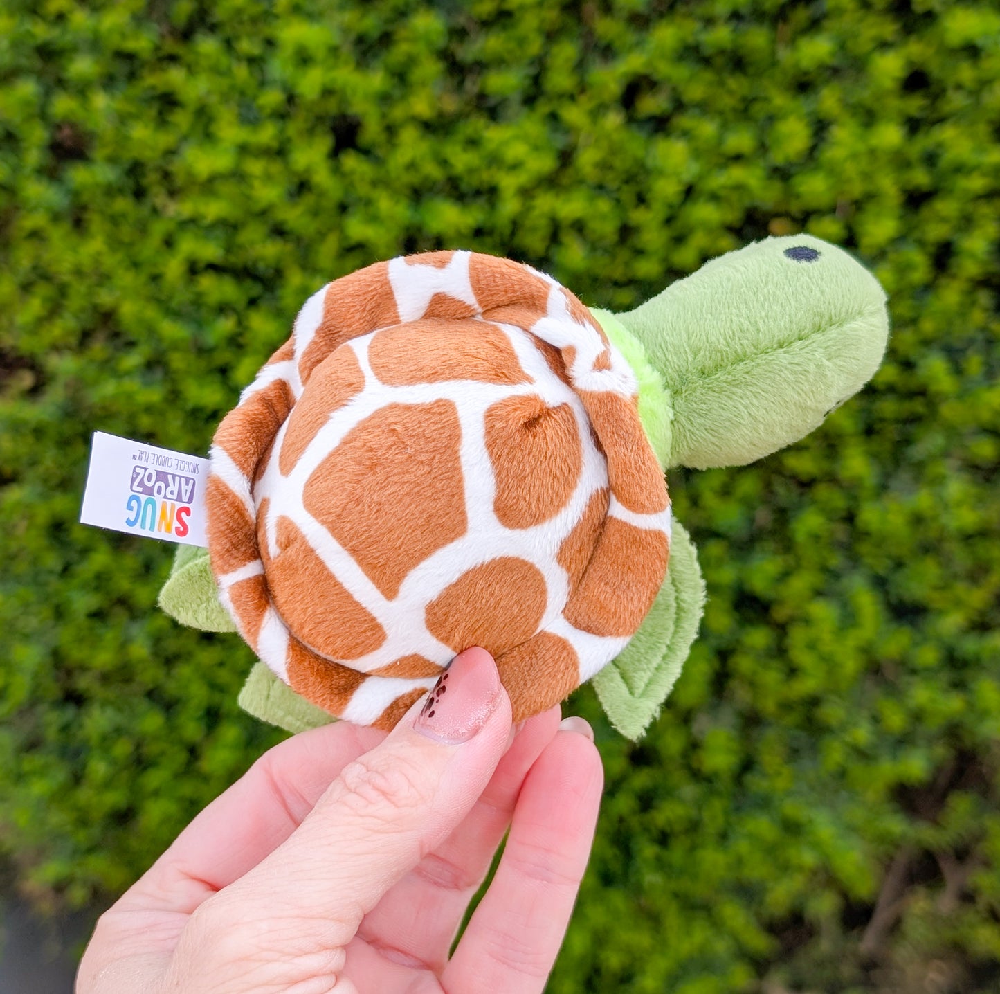 SnugArooz | Turtle Baby Shelldon