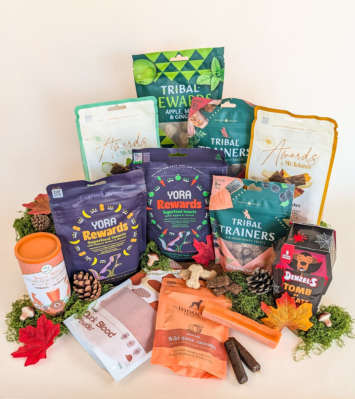 Autumn & Halloween Treat Bags
