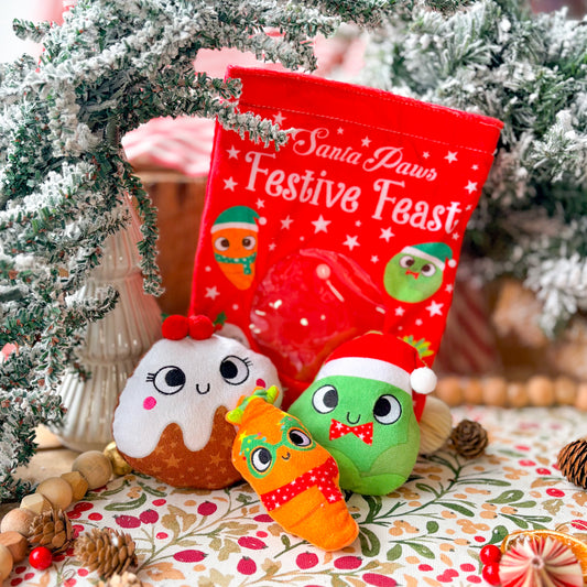 Christmas Plush Hide & Seek Toys
