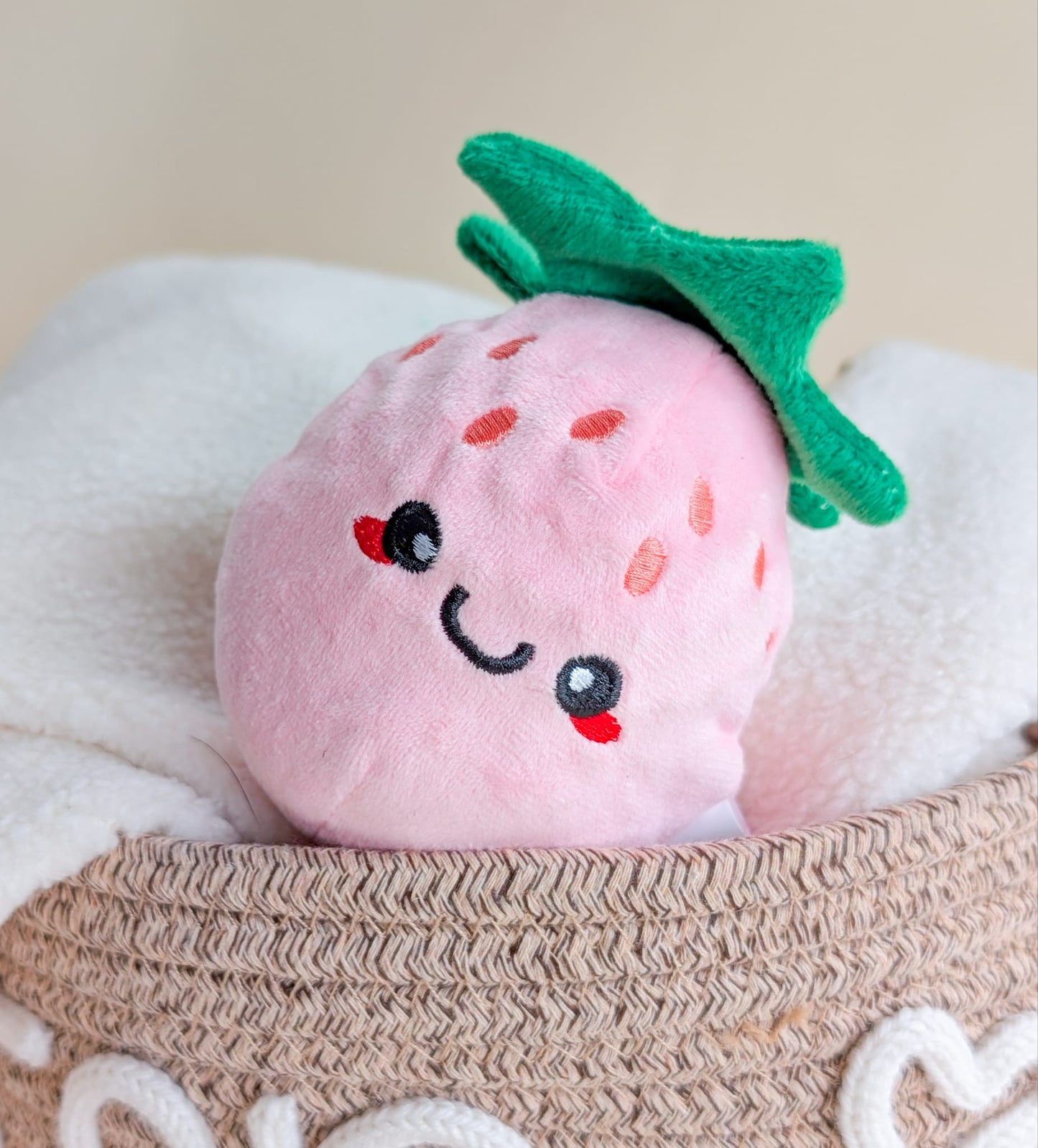 Hugsmart Summer Fruit Ball Toys