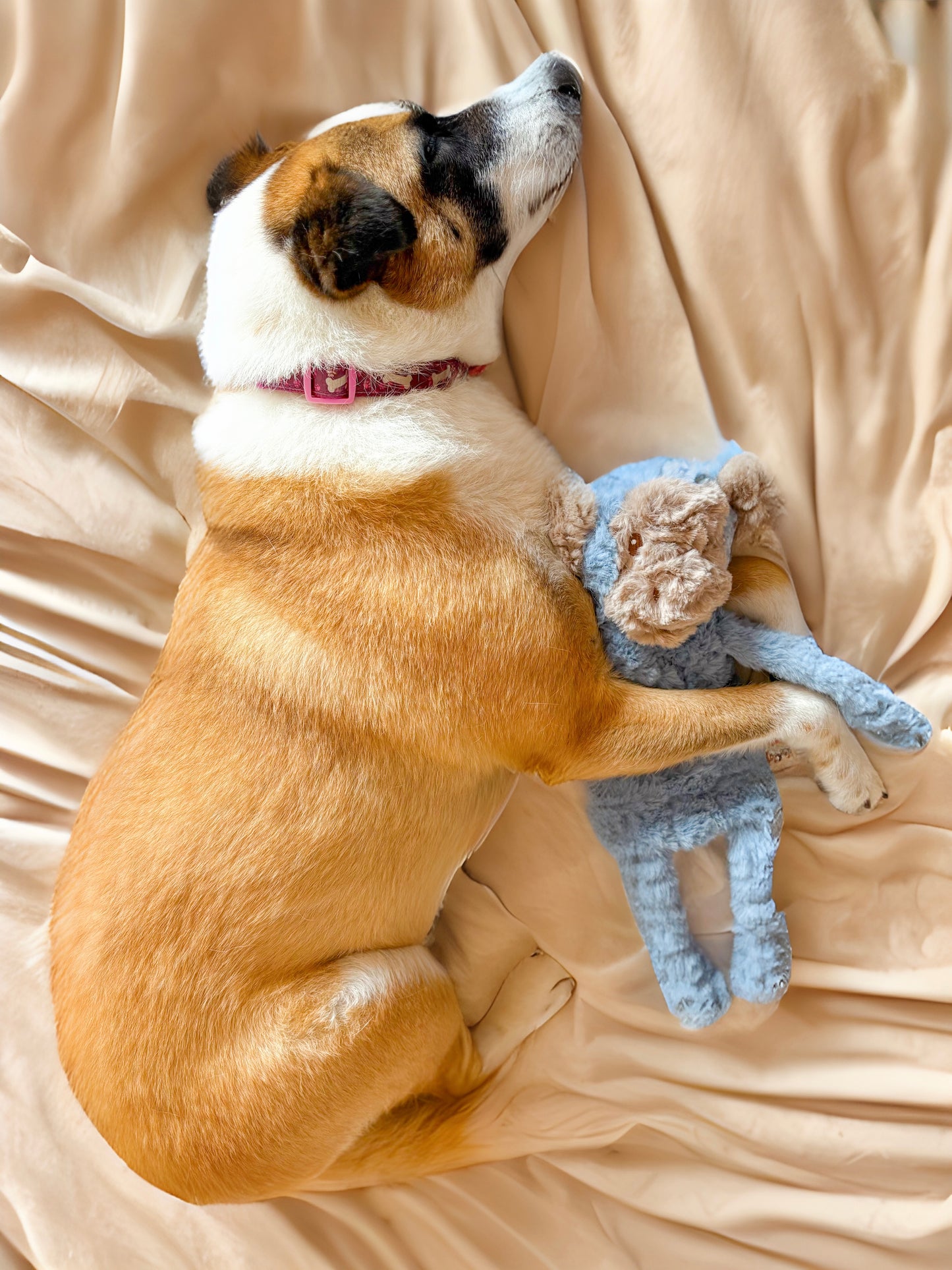 Comforting Soft & Snuggly Friends